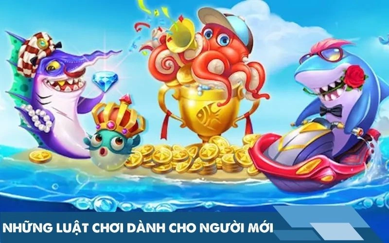 Những luật chơi dành cho người mới