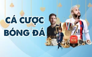 Cá Cược Bóng Đá