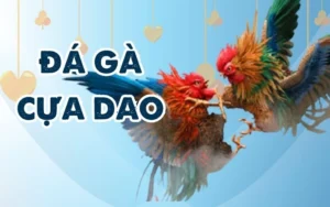 Đá Gà Cựa Dao