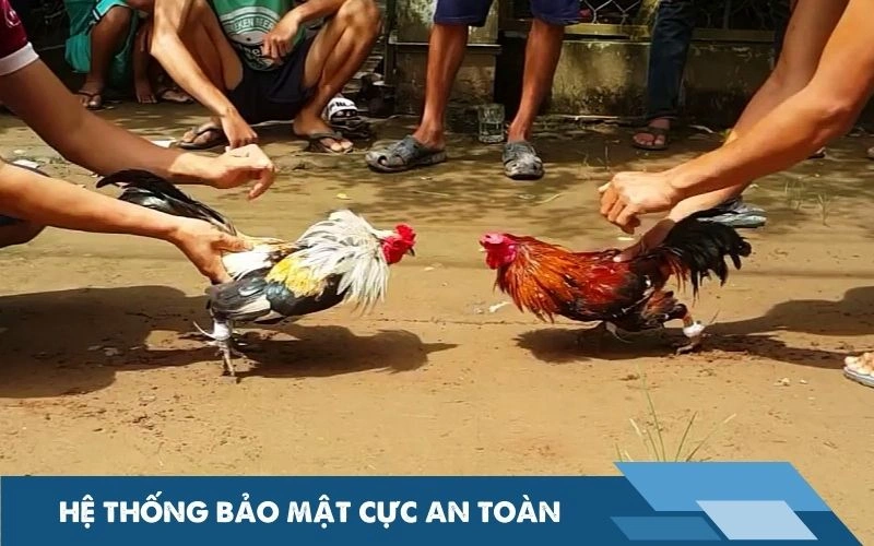 Hệ thống bảo mật cực an toàn