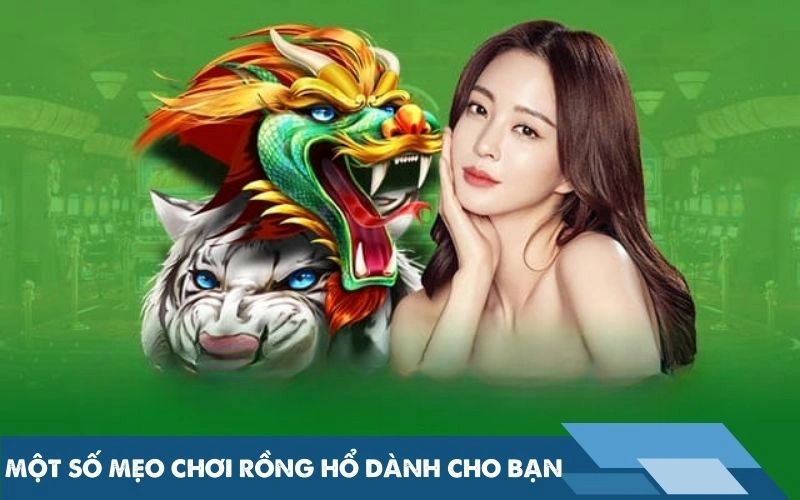 Một số mẹo chơi rồng hổ dành cho bạn