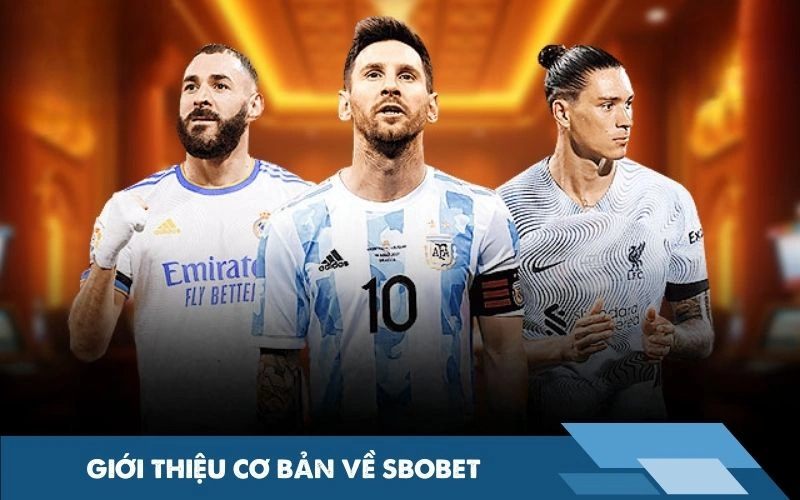 Giới thiệu cơ bản về SBOBET